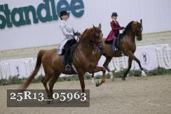 25R13_05963 thumbnail