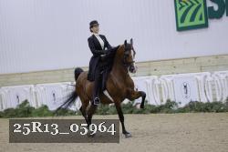 25R13_05964 thumbnail