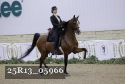 25R13_05966 thumbnail