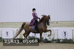 25R13_05968 thumbnail