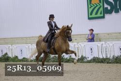 25R13_05969 thumbnail