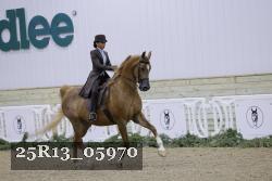 25R13_05970 thumbnail
