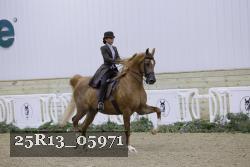 25R13_05971 thumbnail