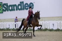 25R13_05972 thumbnail