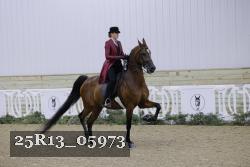 25R13_05973 thumbnail