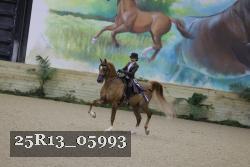 25R13_05993 thumbnail