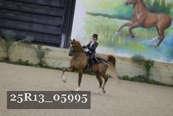 25R13_05995 thumbnail