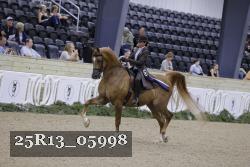 25R13_05998 thumbnail
