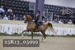 25R13_05999 thumbnail