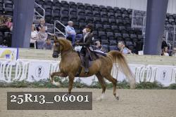 25R13_06001 thumbnail