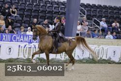 25R13_06002 thumbnail