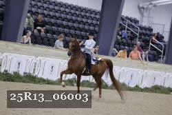 25R13_06003 thumbnail