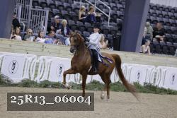 25R13_06004 thumbnail