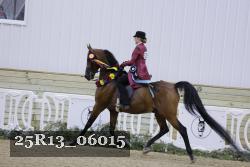 25R13_06015 thumbnail