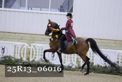 25R13_06016 thumbnail