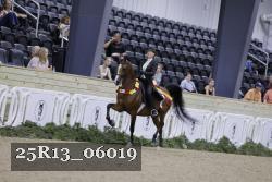 25R13_06019 thumbnail