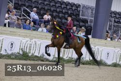 25R13_06028 thumbnail