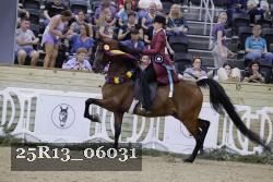 25R13_06031 thumbnail