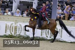25R13_06032 thumbnail