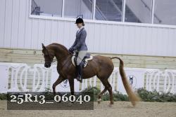 25R13_06040 thumbnail