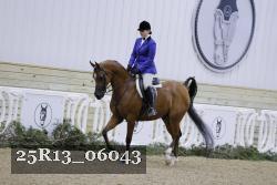 25R13_06043 thumbnail