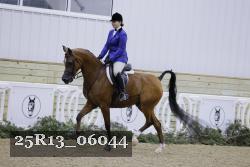 25R13_06044 thumbnail