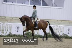 25R13_06047 thumbnail