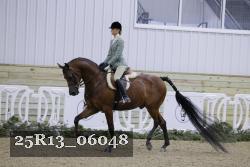 25R13_06048 thumbnail