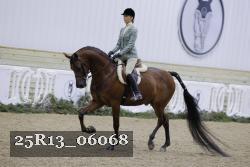 25R13_06068 thumbnail