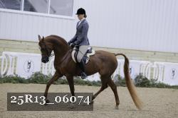 25R13_06074 thumbnail