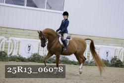 25R13_06078 thumbnail