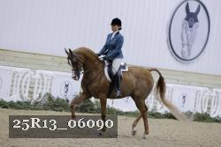 25R13_06090 thumbnail