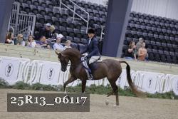 25R13_06117 thumbnail