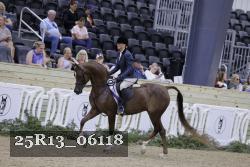 25R13_06118 thumbnail