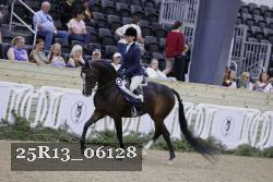 25R13_06128 thumbnail