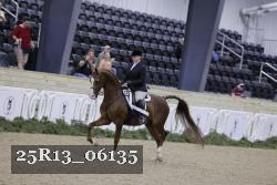 25R13_06135 thumbnail