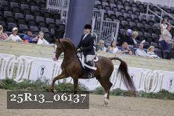 25R13_06137 thumbnail