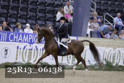 25R13_06138 thumbnail