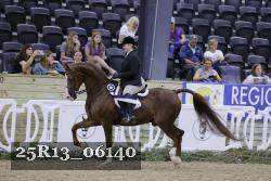 25R13_06140 thumbnail