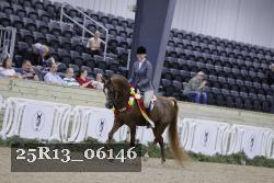 25R13_06146 thumbnail
