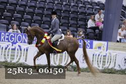 25R13_06150 thumbnail