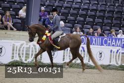 25R13_06151 thumbnail
