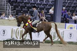 25R13_06152 thumbnail