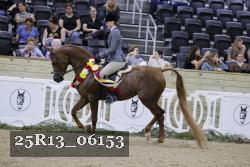25R13_06153 thumbnail