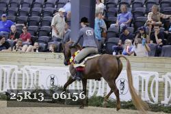 25R13_06156 thumbnail
