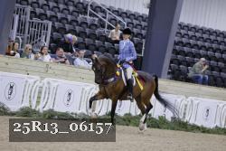 25R13_06157 thumbnail