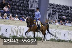 25R13_06158 thumbnail
