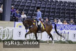 25R13_06160 thumbnail