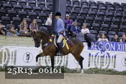 25R13_06161 thumbnail