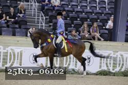 25R13_06162 thumbnail